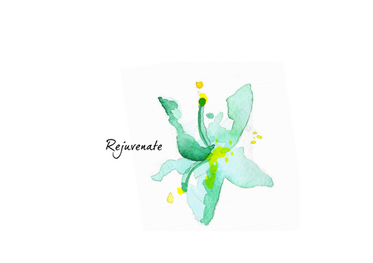 Rejuvenation | Conscious Water | Flower Essences For Water