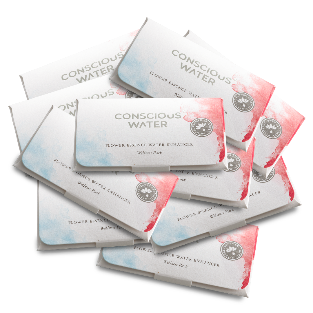 FRIEDLICHES GESCHENK