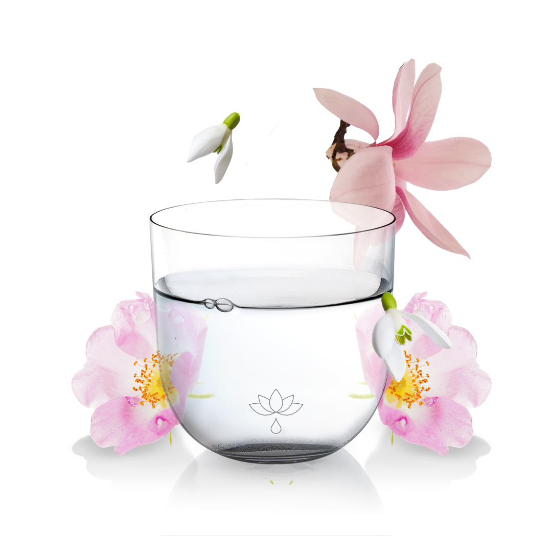 30er Packung<br> 33,00 €